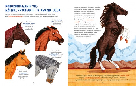 W galopie elibri srodki 2